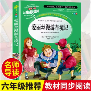 爱丽丝漫游奇境记 书籍彩绘版完整版中小学课外阅读原著推荐无障碍阅读必读课外