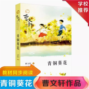 青铜葵花 课外书必读的正版书籍推荐儿童文学获奖作品经典书目小学阅读原著完整版