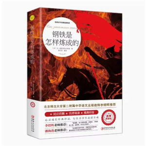钢铁是怎样炼成的 阅读文学经典书籍青少年版读物必读正版原著完整版课外书推荐小学生