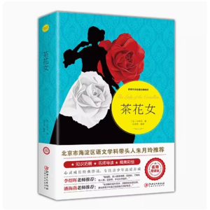 茶花女 书籍青少年版读物原著完整版课外书必读正版推荐小学生阅读文学经典
