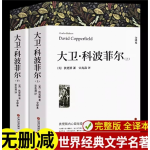 大卫科波菲尔正版高中生版查尔斯狄更斯著高一必读课外书复活老人与海百年孤独原版原著中文版