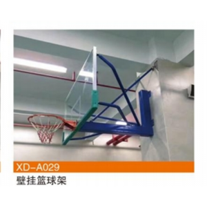 壁挂篮球架球类儿童学生篮球框投篮家用室内投篮篮筐室内外专用XD-A029