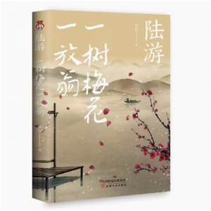陆游 一树梅花一放翁华籽文学散文传记陆游人物生平诗词传记唐诗宋词鉴赏赏析中学生课外书籍