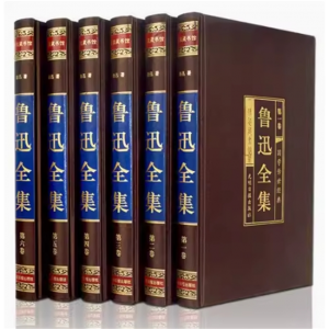 鲁迅文集绸面精装6册 正版全套鲁迅小说全集杂文诗歌作品集 朝花夕拾呐喊狂人日记仿徨故乡全套