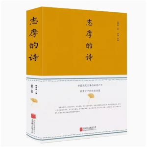 志摩的诗徐志摩 正版书籍徐志摩诗文全集散文诗歌大全集再别康桥徐志摩经典散文学生版现当代诗歌作品