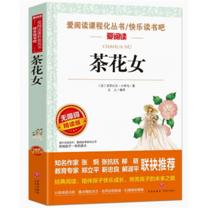 初中生必读课外书阅读青少年纯美阅读--茶花女