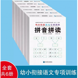 全套6册 拼音拼读 笔画偏旁幼小衔接教材全套幼儿园整合教材大中学前班语文专项训练练习册