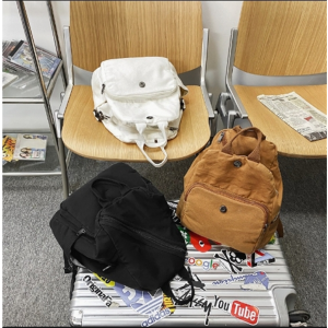 新款日系小众原宿设计感文艺帆布双肩包学生上课纯色包