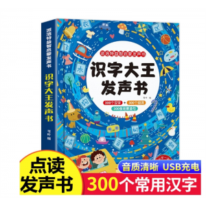 识字大王发声书幼儿学汉字认字神器幼儿园3-6-7岁学前