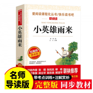 红色经典革命故事书小英雄雨来三四年级课外书上册六年级完整版