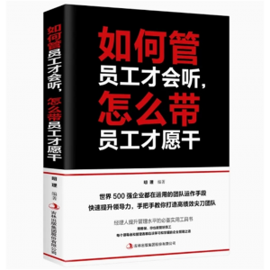 如何管员工才会听怎么带员工才愿干 经营管理学书籍执行力人力资源工商财务仓库时间团队管理类如何带好一个团队