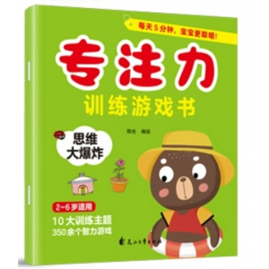 思维大爆炸 专注力训练游戏书 图画找不同全脑逻辑思维训练儿童专注力幼儿大脑开发视觉大发现智慧闯迷宫