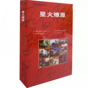 红色经典连环画库星火燎原