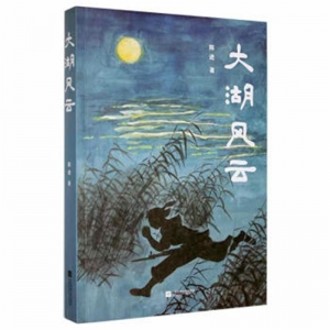 简装塑封大湖风云畅销书籍