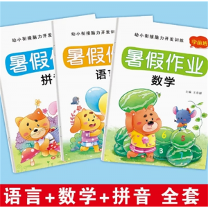 幼小衔接脑力开发训练暑假作业（语言+数学+拼音） 拼音语言数学专项训练暑假练习册幼儿脑力开发综合训练学前班