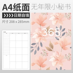 2024年A4大号日程本月计划ins风学习时间管理手册计划本子A5
