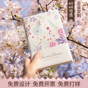女生手账本A5/A6笔记本手账本可爱日记本精美日记本彩印笔记本子
