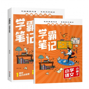 语文 黄冈学霸笔记 知识总复习课堂内容活用所学知识大全人教版全国通用小学语文数学英语全套
