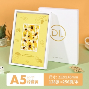 手账本现货精美彩印小清新学生文艺日记本可爱手账本子高颜值