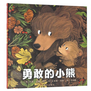 明天出版社书籍 引进版精装绘本信世界图画书勇敢的小熊儿童文学