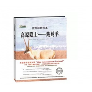 精装硬壳绘本  幼儿园硬皮动物狂野动物绘本高原隐士-藏羚羊