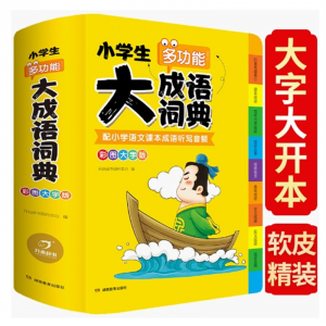 小学生多功能大成语词典 新版中华成语 湖南教育出版社正版小学生大本彩图版