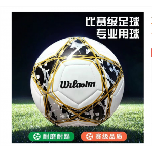 足球4号5号耐磨机缝成人青少年训练比赛儿童学生考试用球白黑金