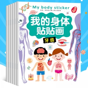 我的身体贴贴画 大脑 心脏 牙齿 皮肤 我的感官 消化系统
