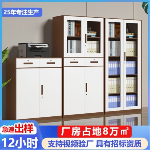 拆装文件柜咖白定制资料档案柜储物柜办公凭证铁皮柜子抽屉柜矮柜