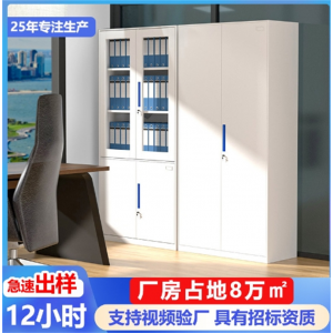 文件柜办公室带锁资料柜档案柜储物柜落地办公柜铁艺矮柜厂家定制