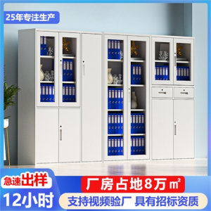钢制文件柜定制铁皮柜柜子档案柜储物柜办公柜铁艺矮柜厂家批发