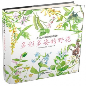 身边生动的自然课多彩多姿的野花吉林科学技术出版社