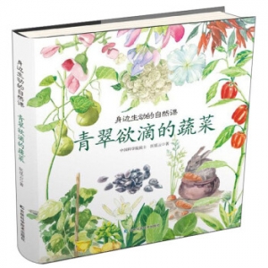 身边生动的自然课:青翠欲滴的蔬菜吉林科学技术出版社