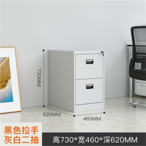 灰色二斗（黑色拉手）卡箱A4文件挂劳柜资料柜快劳柜矮柜抽屉展示柜底图柜多抽