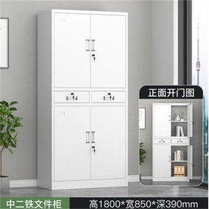 铁二斗文件柜 定制文件柜办公室档案柜铁皮柜带锁资料柜财务凭证柜抽屉储物柜子
