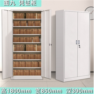 财务凭证柜 落地抽屉储物更衣柜多种款式办公室文件铁皮柜档案凭证资料柜