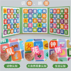 看图识字磁性拼图宝宝启蒙认字幼儿蒙氏教具儿童早教益智磁力玩具