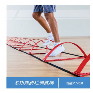 功能跨栏幼儿园统训练器幼儿锻炼格乐教具外教早教训练多功能敏捷