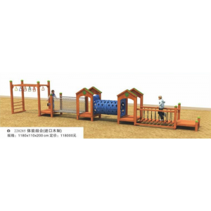 幼儿园户外游乐设施儿童娱乐户外运动体能组合系列体能组合(进口木制) 220285