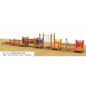 幼儿园户外游乐设施儿童娱乐户外运动体能组合系列体能组合(进口木制) 220289