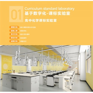 高中化学课标实验室实验仪器基础设备文化与装修整体基于数学化
