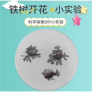 化学实验器材铁树开花 小学生科教玩具儿童手工DIY科技小制作材料