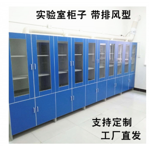 全钢全木药品柜试剂柜实验室器皿柜储物柜样品柜文件台柜
