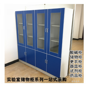全钢全木药品柜试剂柜实验室器皿柜储物柜样品柜文件台柜