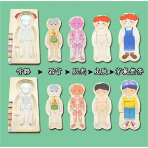 幼儿童早教木质多层拼板玩具人体器官认知 男孩女孩身体结构拼图