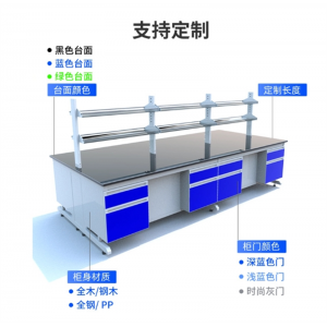 实验室边台边柜试验台工作台操作台钢木实验台桌通风柜全钢实验台