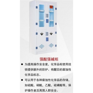 广视通 实验室危化品建设-强酸强碱柜 用于各种腐蚀性化学品的存储