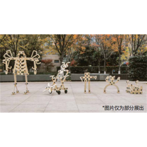幼儿园室内外游乐设施户外安吉游戏探索螺母系列中型螺母构建组合636件