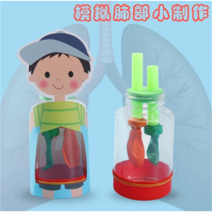 肺呼吸模型学生steam生物作业手工科学实验diy科技小制作人体器官