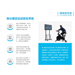 智心 心理质询服务 情绪宣泄室-身心调试运动放松系统 趣味骑行心理疏导
